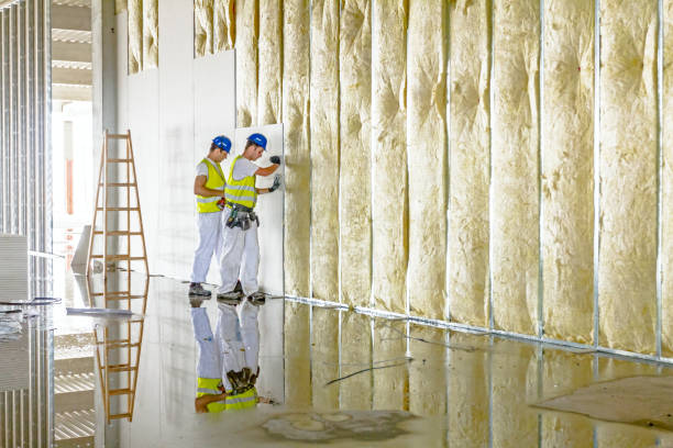 Best Cellulose Insulation in Nitro, WV